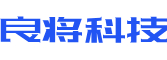 林芝软件开发公司